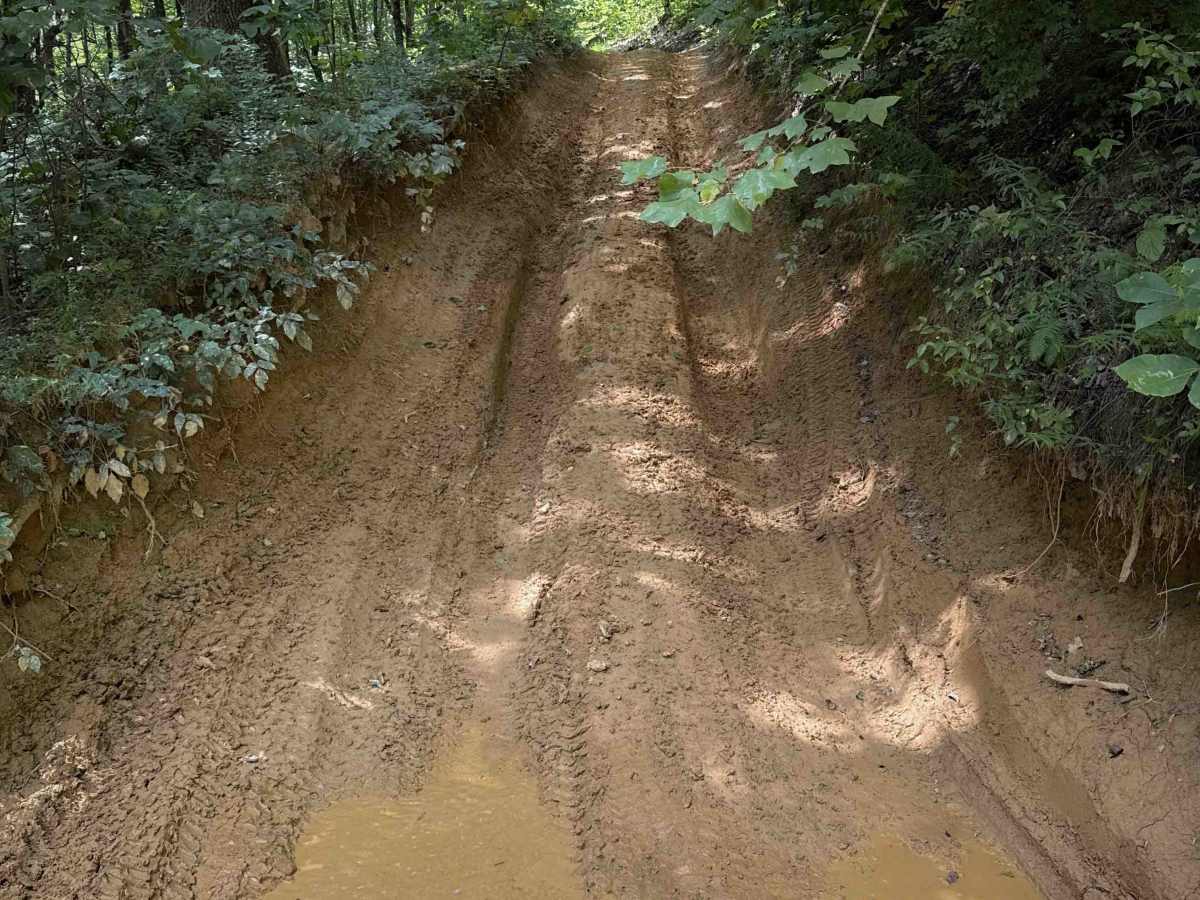 Broyles Branch Trail 17  photo 4