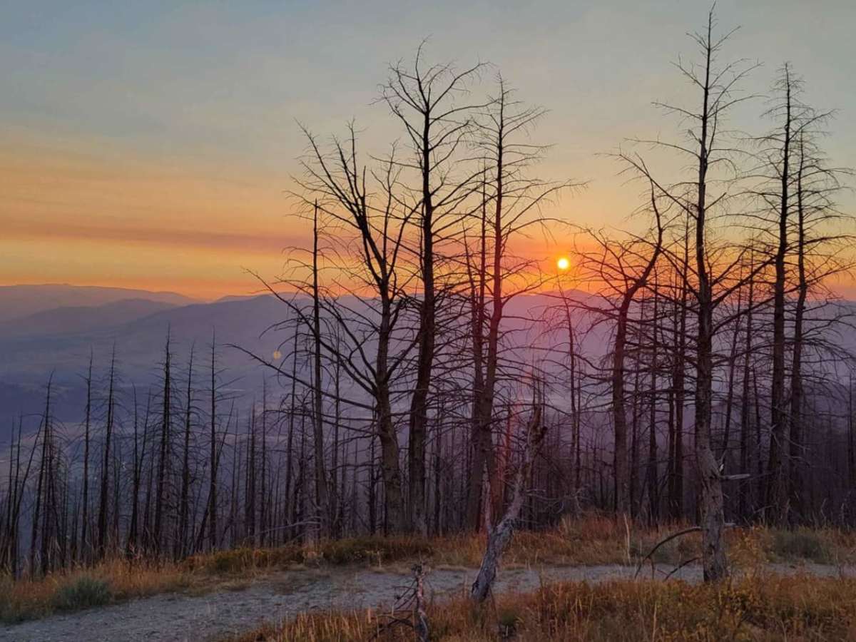 Mormon Peak trail photo