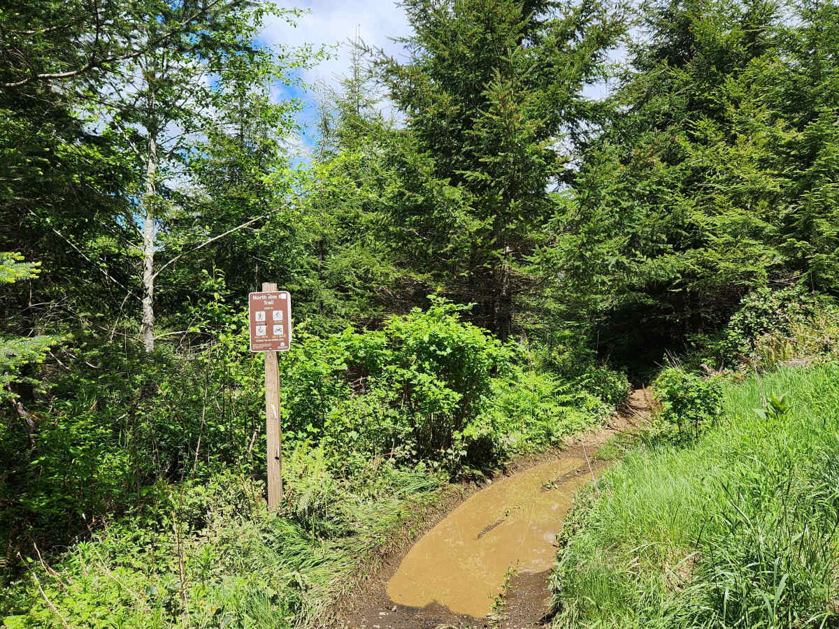 North Rim Trail #3 photo 5