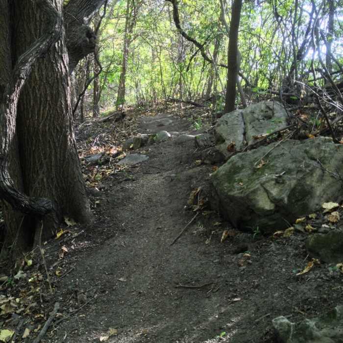 Near Traverse des Sioux Trails