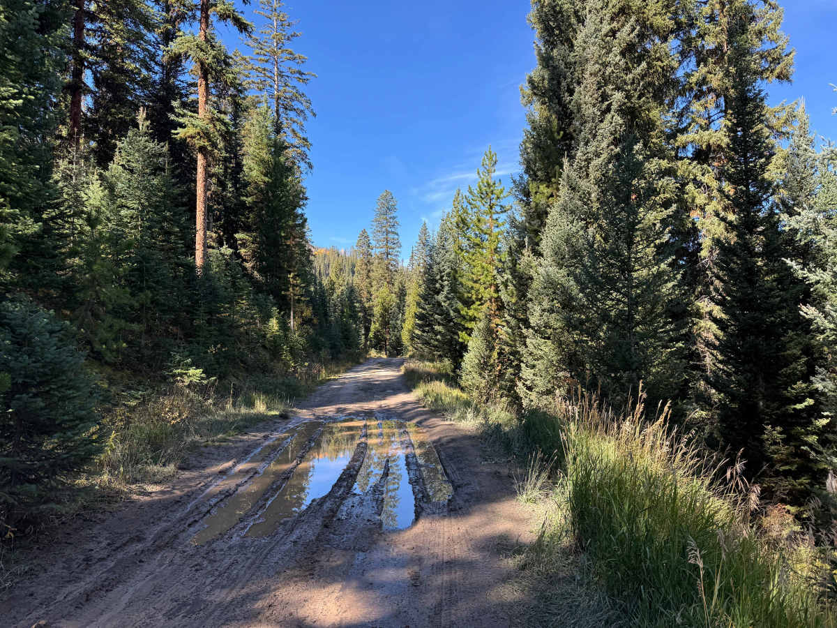Smith Creek Road photo 3