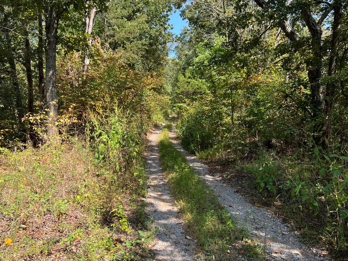 Maddox Gap - FS 250 photo 3