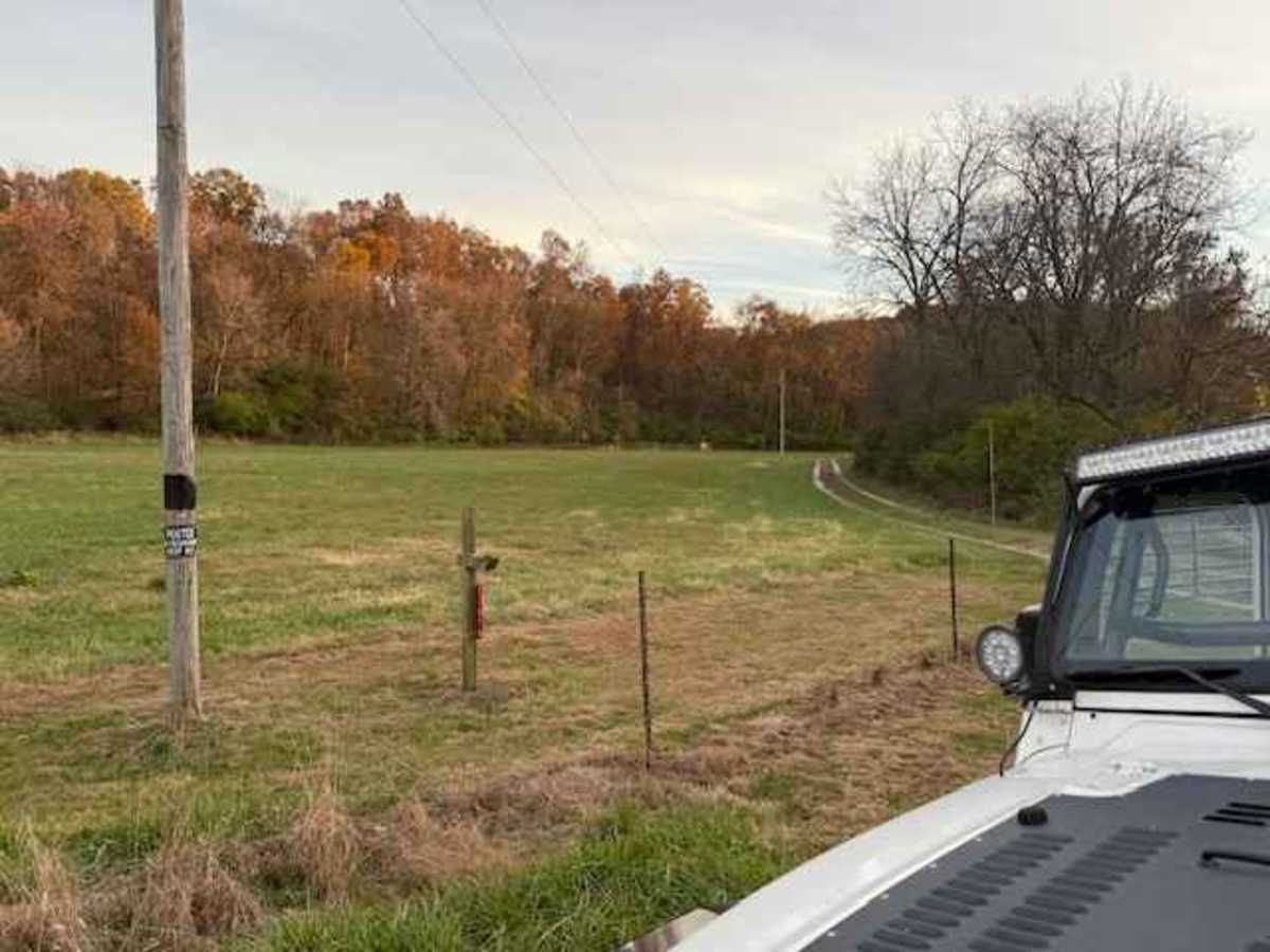 Olive Branch Road photo 6