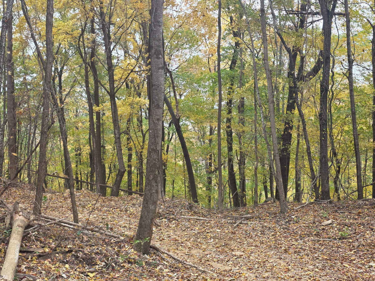 Spectator Ridge photo 3