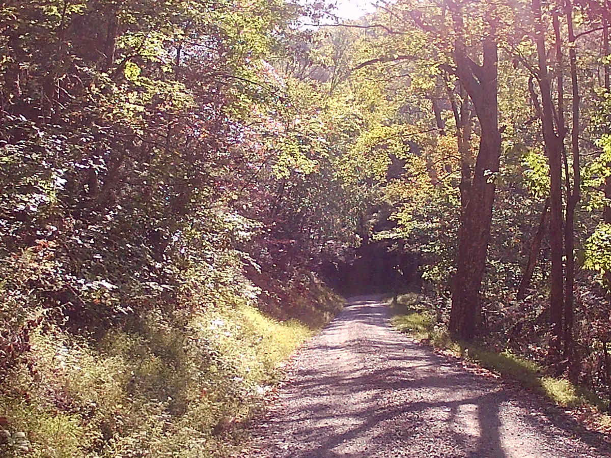 Breininger Gap Road trail photo