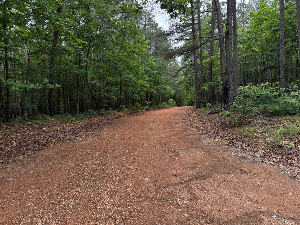 Lawrence road trail photo