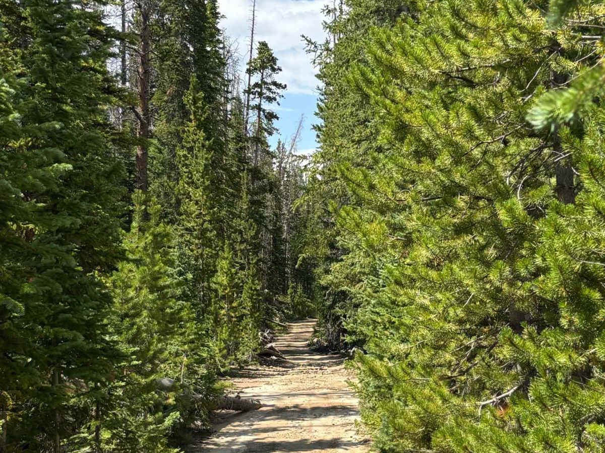 Hot Sulphur Spur Road trail photo