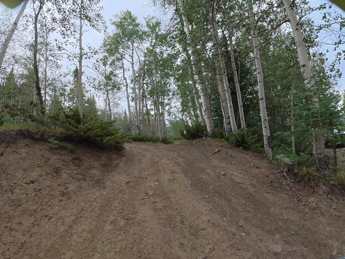 Long Lake Road trail photo