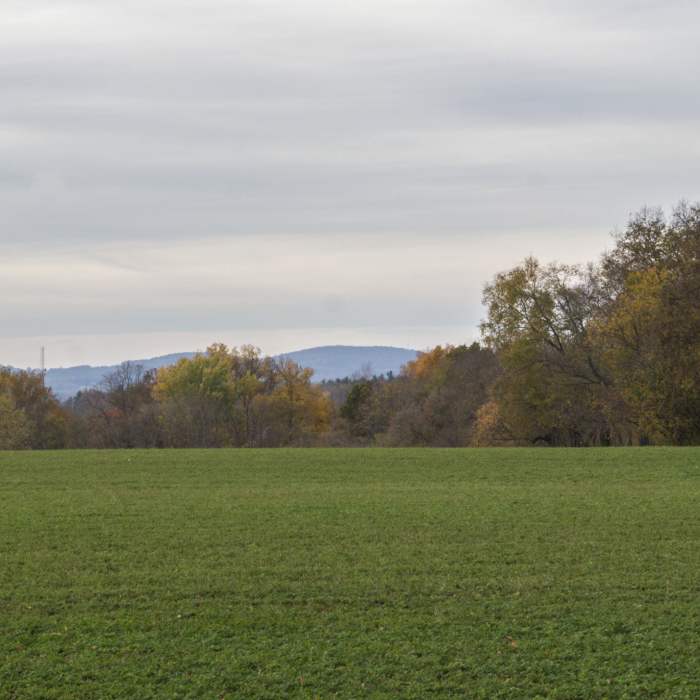 Near Monocacy Battlefield - Thomas Farm