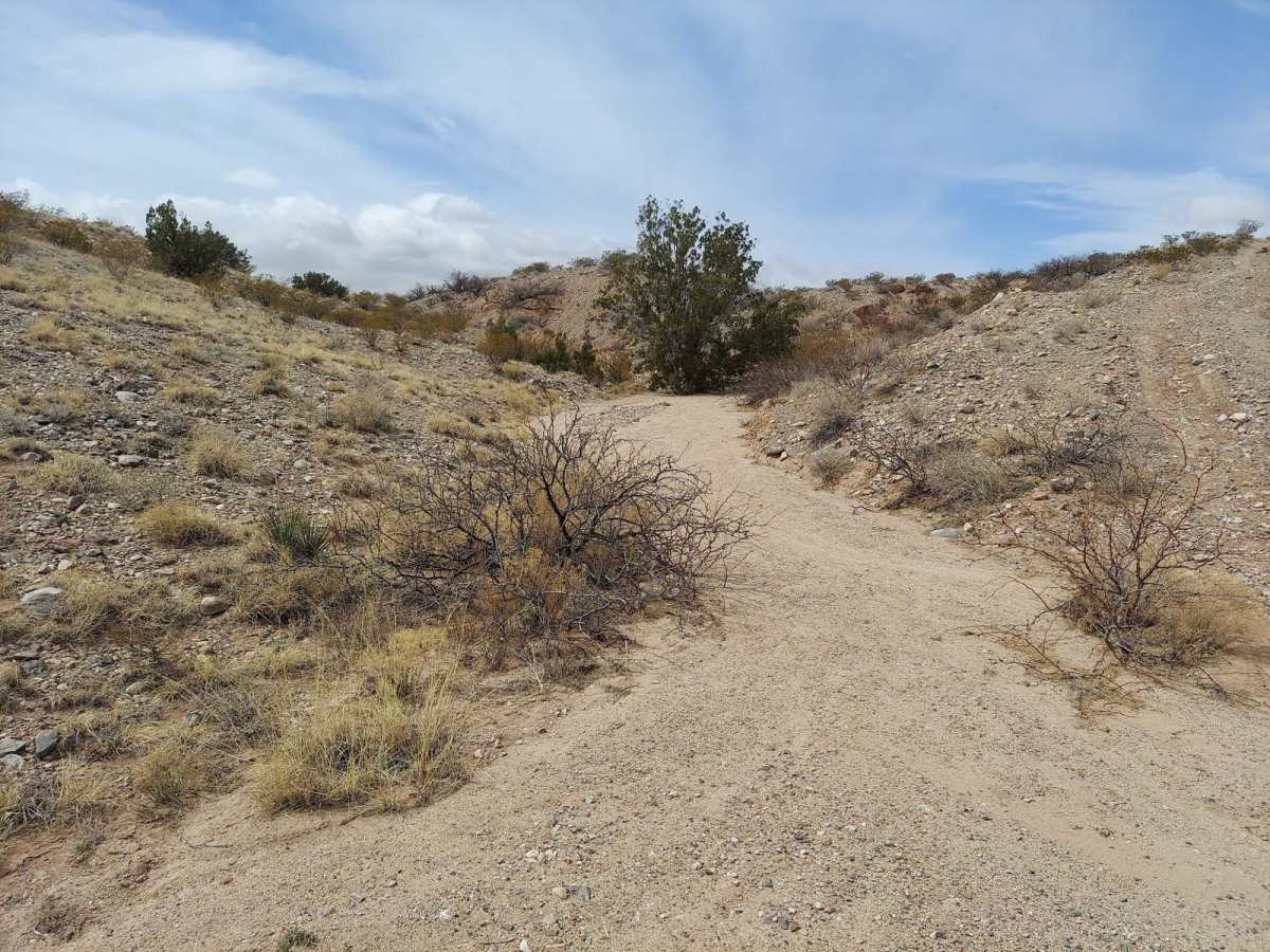 Powerline Pass trail photo