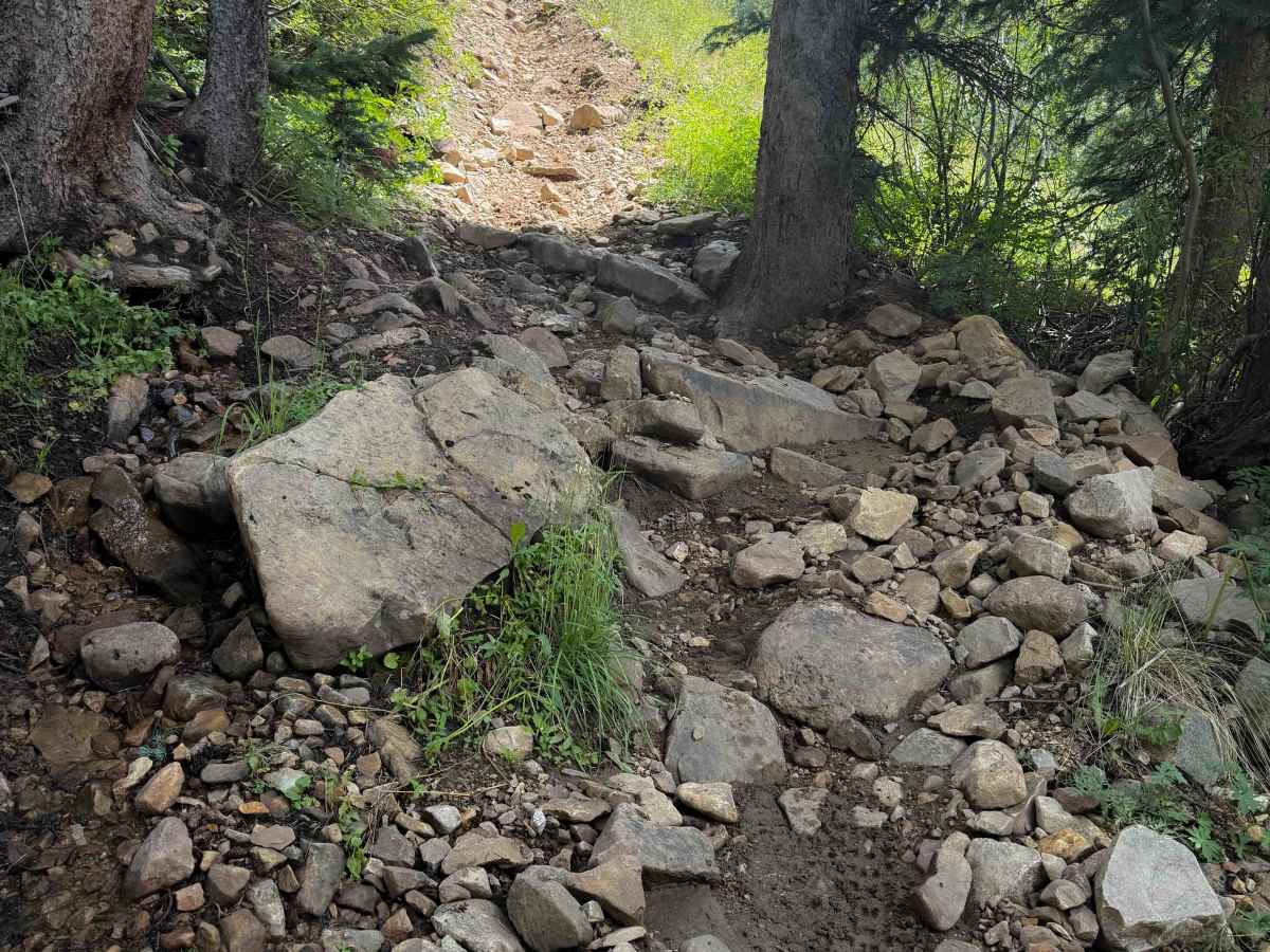 Priest Gulch - Trail 645  photo 2