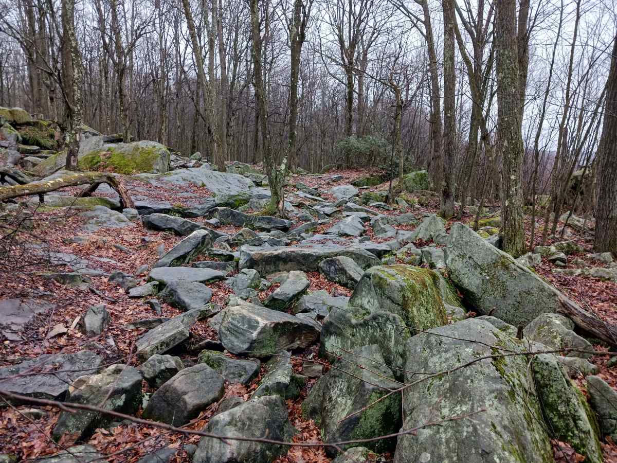 OHV 40 - Rock Run Recreation Area photo 6