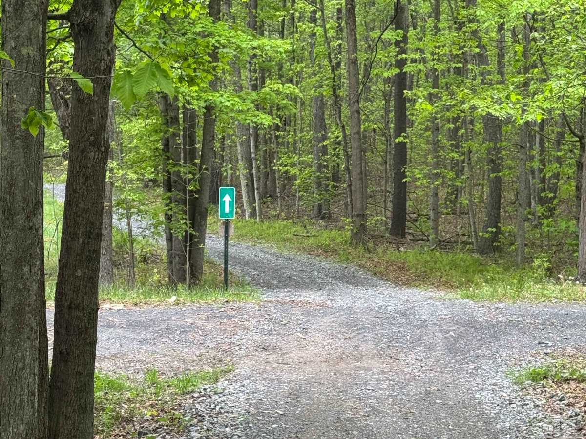 Coudy Pike Trail North photo 6
