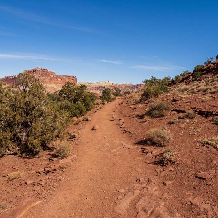Near Sunset Point Overlook