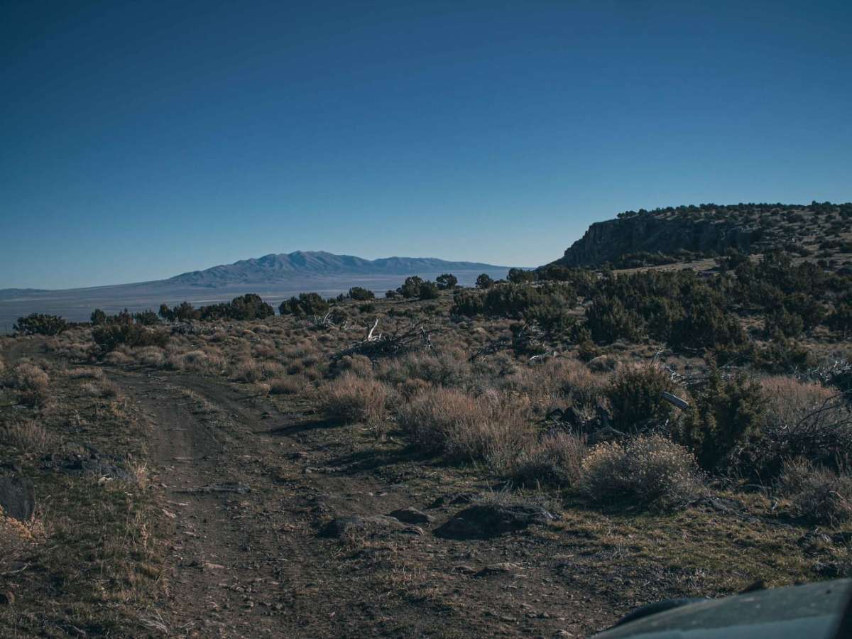 Cotterel Mountain Road photo 5