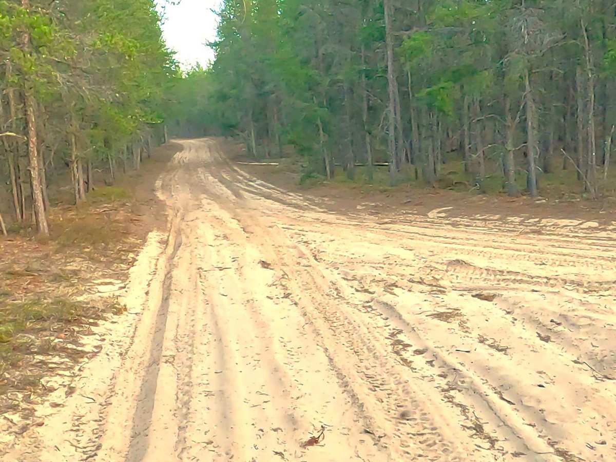 W Wilderness Road photo 6