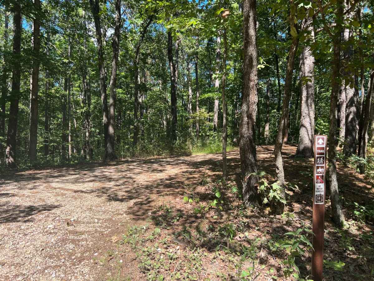 Piney Ridge photo 4