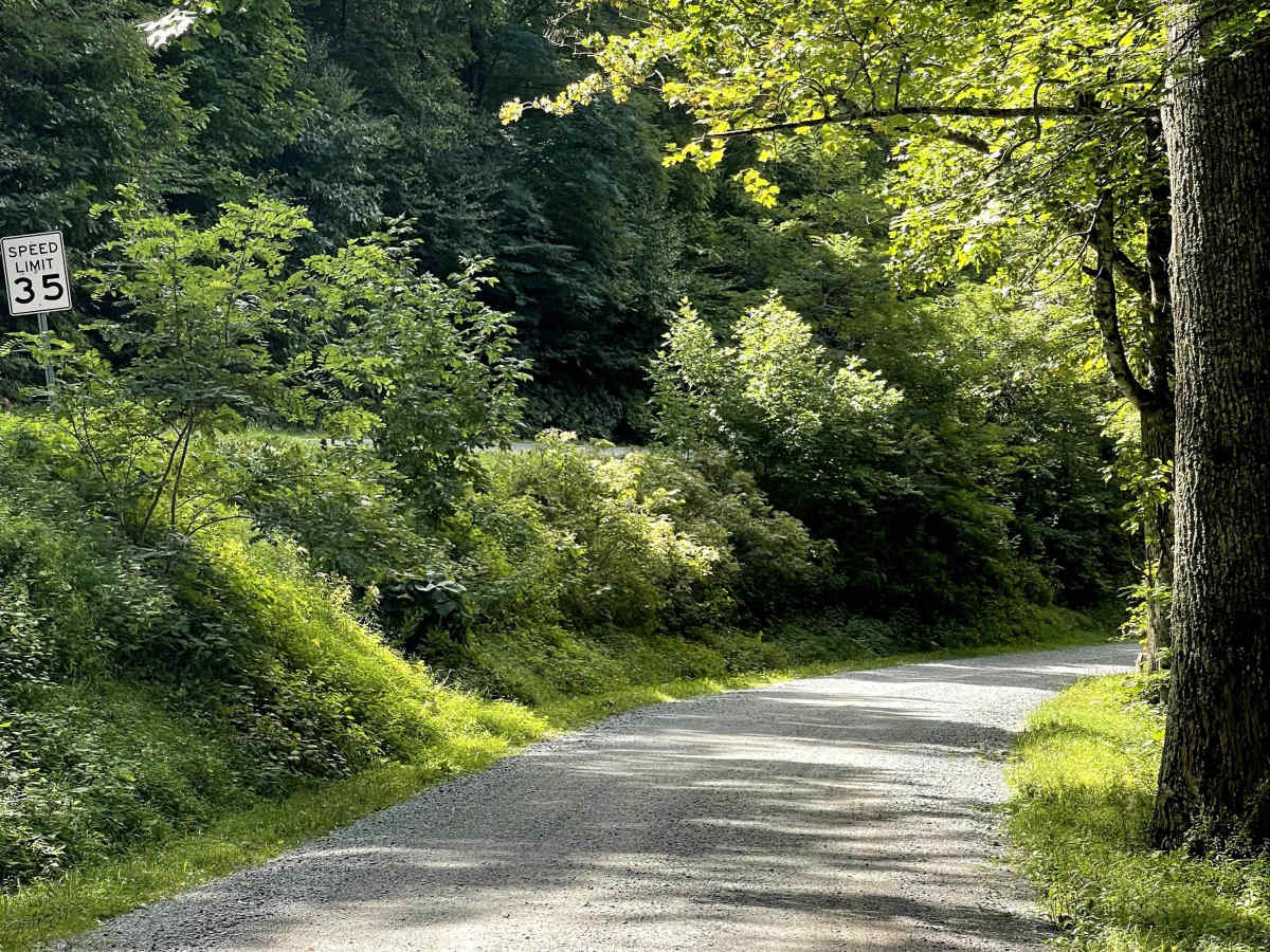 Edgemont Road trail photo