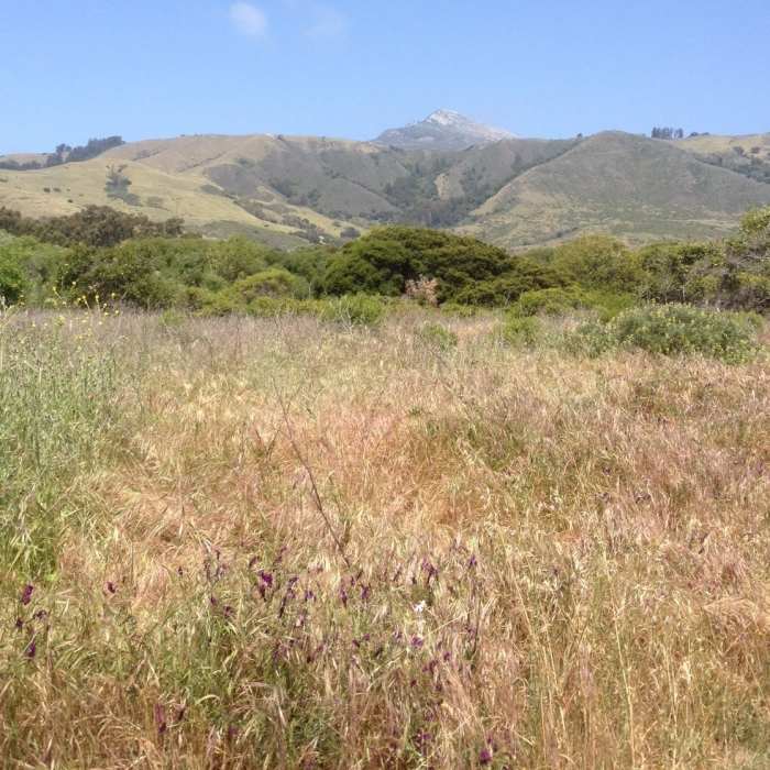 Big mountain views as you head up the Beach Trail Near Beach Trail