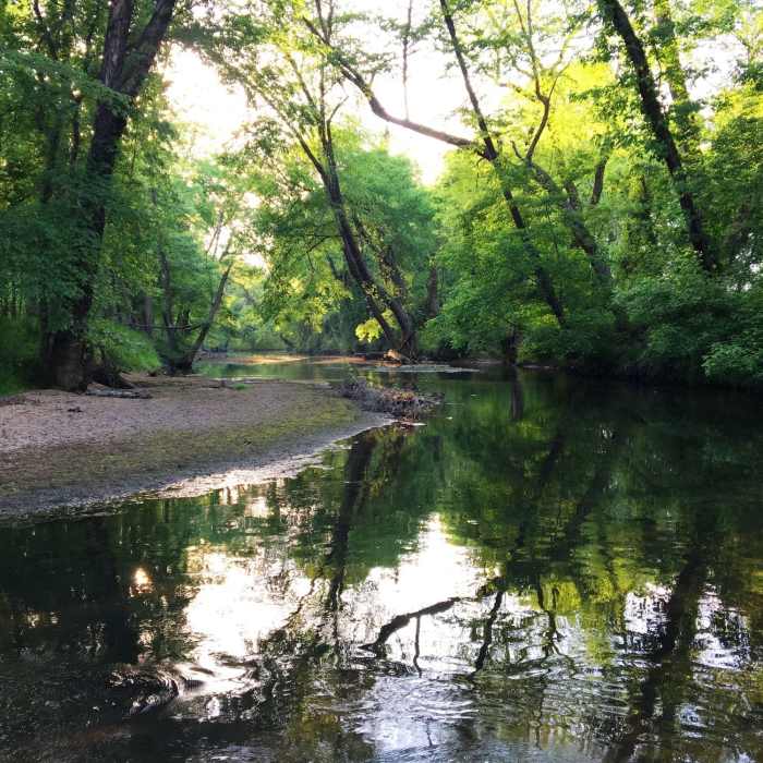 After a day enjoying the trails at Mason Farm Biological Reserve, head north from the parking area to enjoy a quiet lunch by Morgan Creek before hopping in the car. Near Mason Farm Main Trail