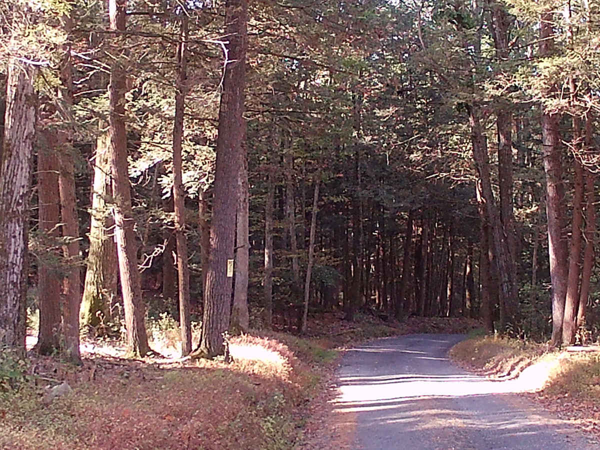 Decker Run Road photo 6