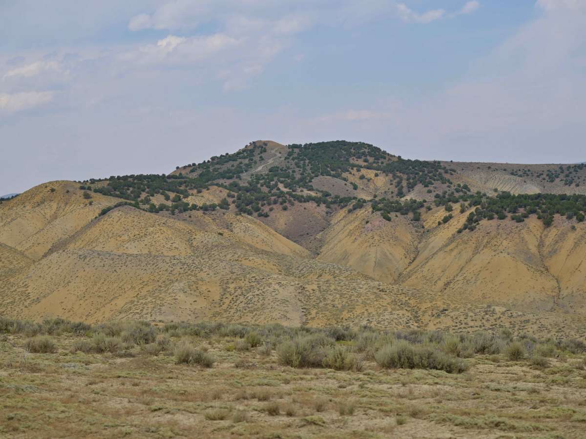 Little Valley Road photo 6