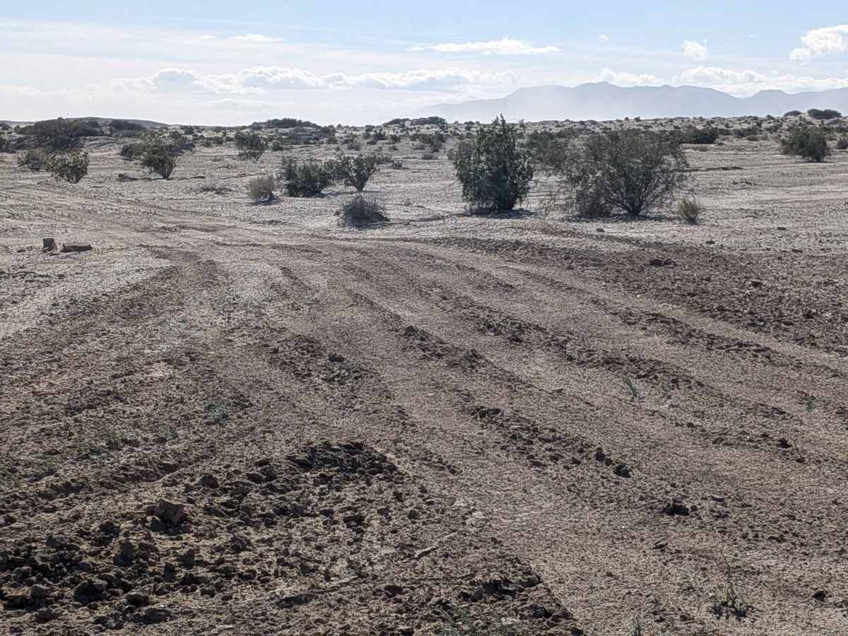 BLM 327 photo 5