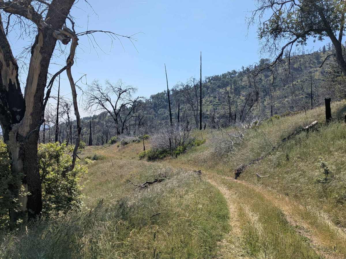 Starvation Creek - FS 23S65 trail photo