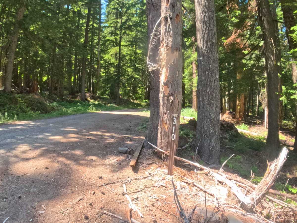 Scar Mountain Road - FS 2266310 photo 2
