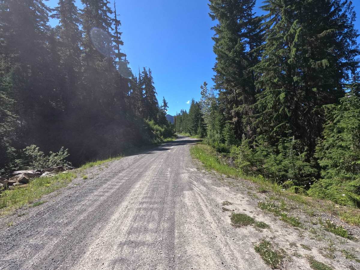 Cooper Road - FS 46 photo 4