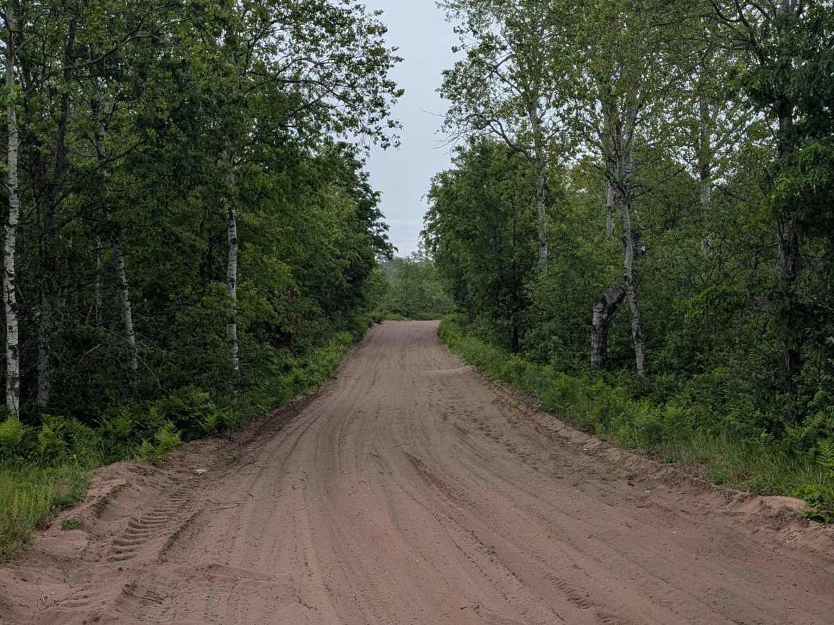 West Higgins Route Section 1 photo 4