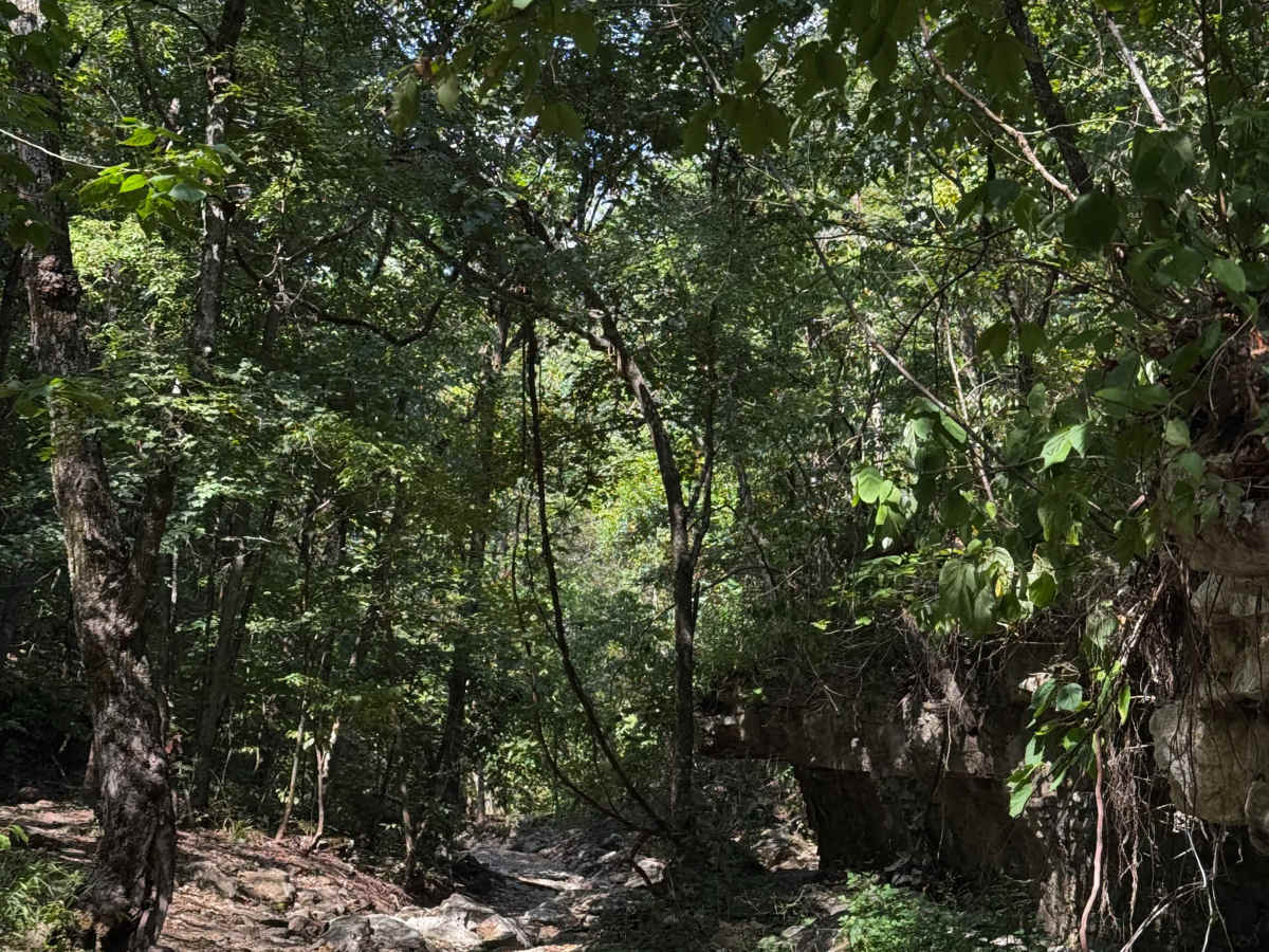 Little Johnny's Adventure photo 2
