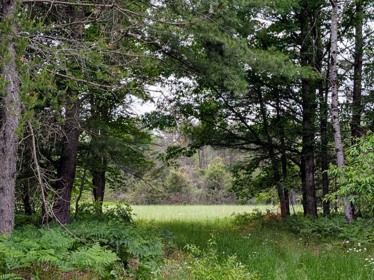 Tarn Trail photo 5