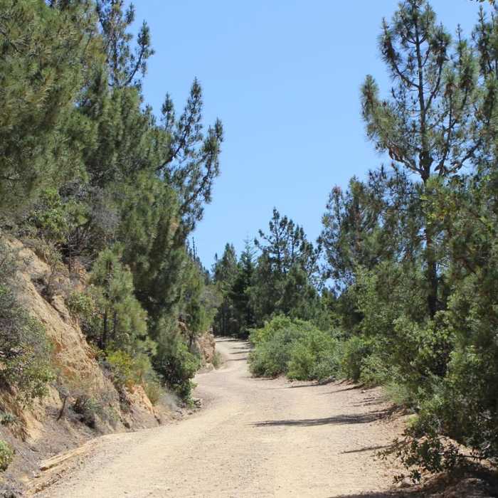 Near Mount Saint Helena