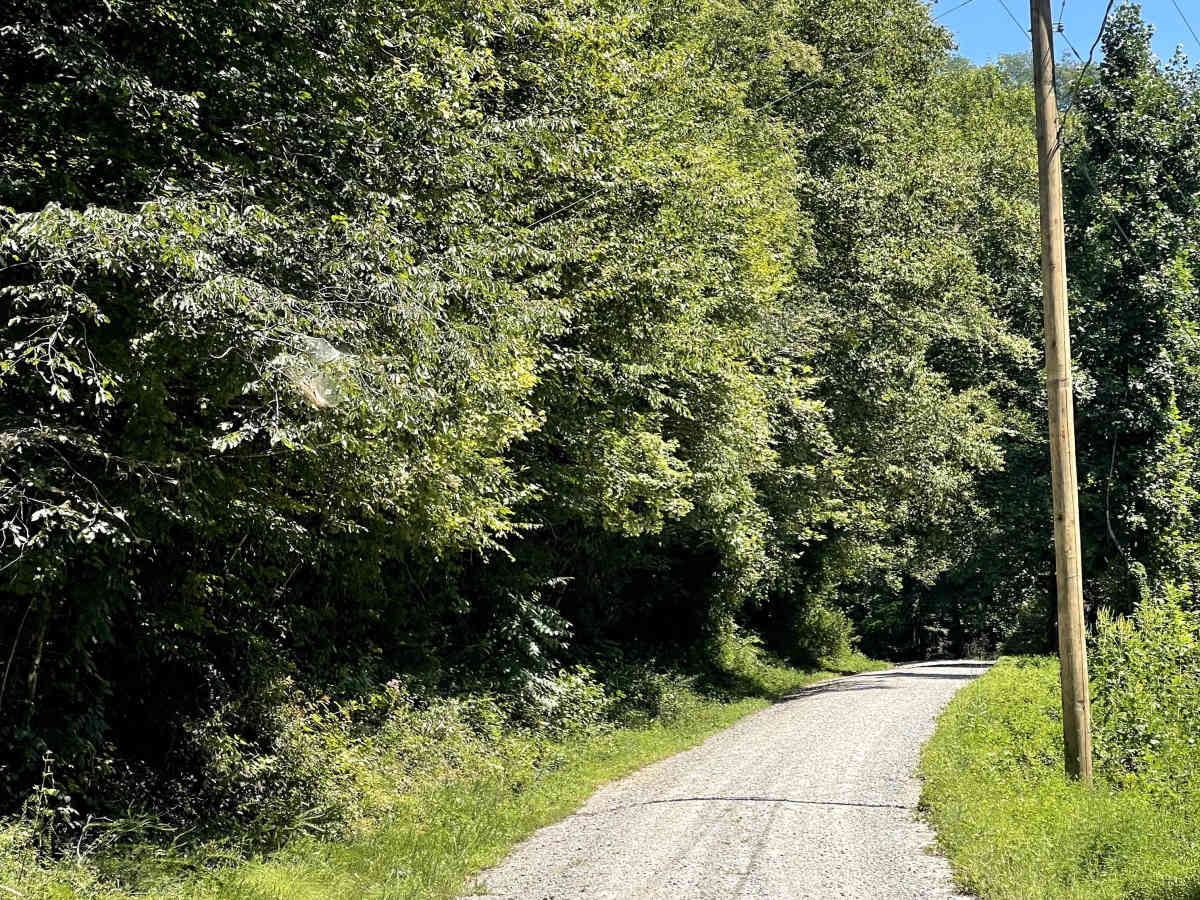 Globe Mountain Road photo 3