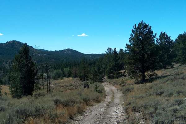 Big Bear Canyon/Devils Pass