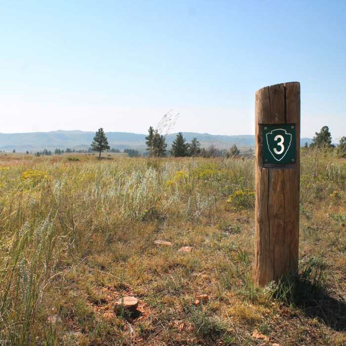 Near East Bison Flats Trail Near East Bison Flats Trail