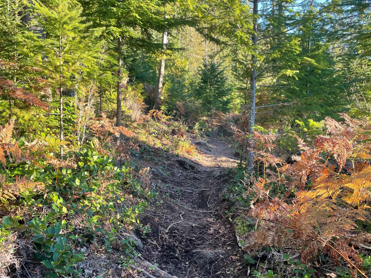 Sun Fun Connector trail photo