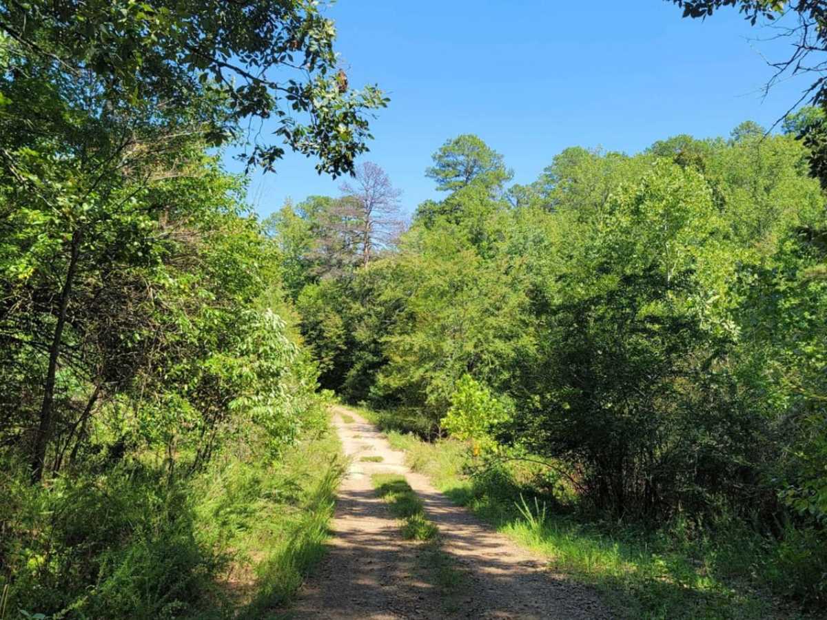 Wildcat Hollow trail photo