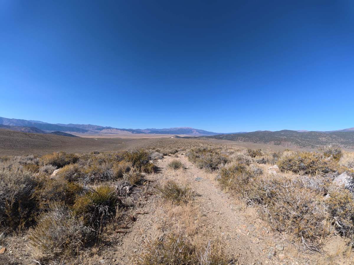 Dog Creek West photo 3