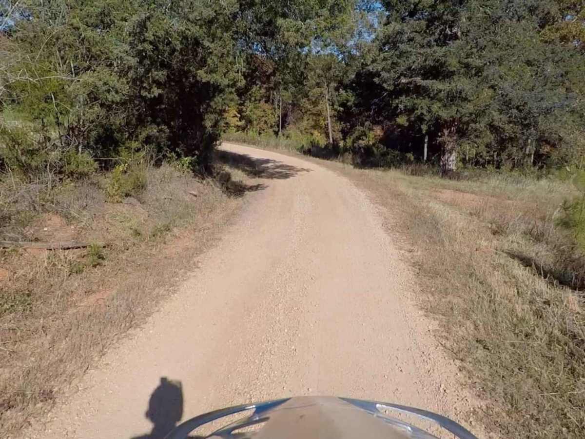 SCAR Connector-Loop photo 2