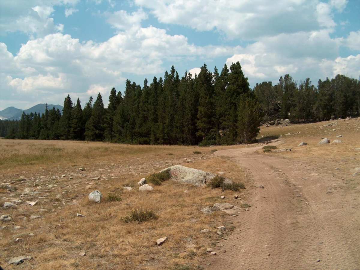 Christina Lake trail photo