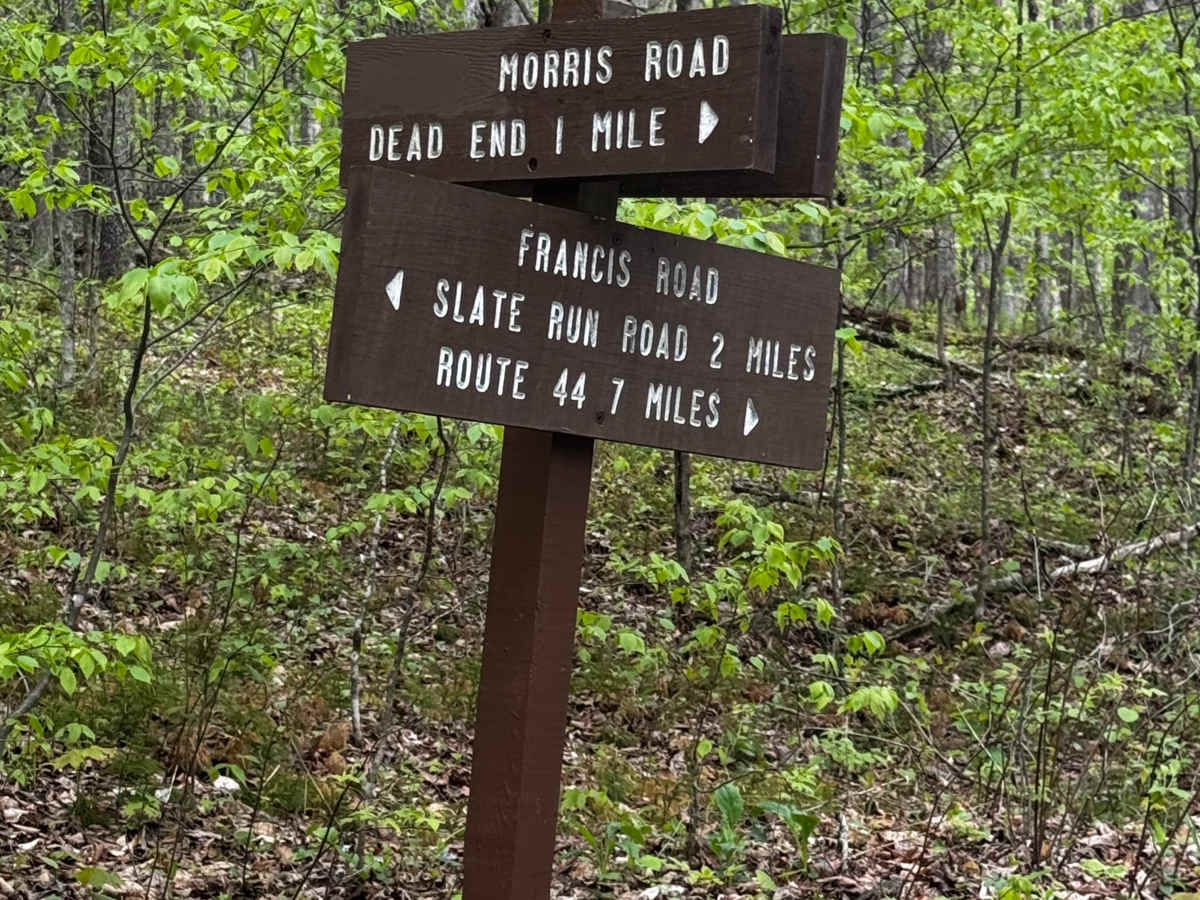 Morris Road trail photo