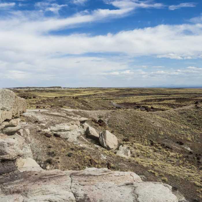 Near Giant Logs Trail Near Giant Logs Trail