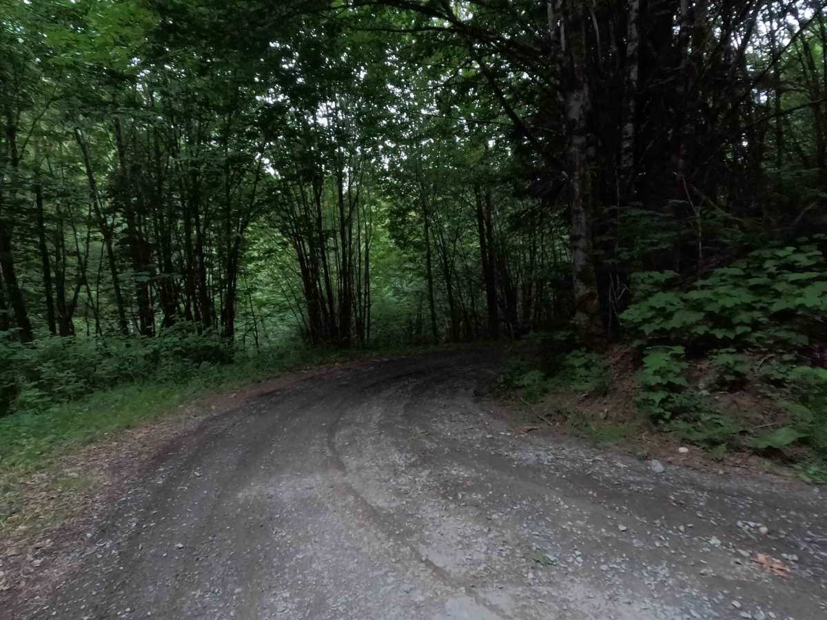 North Side Sauk River - FS 22 photo 3