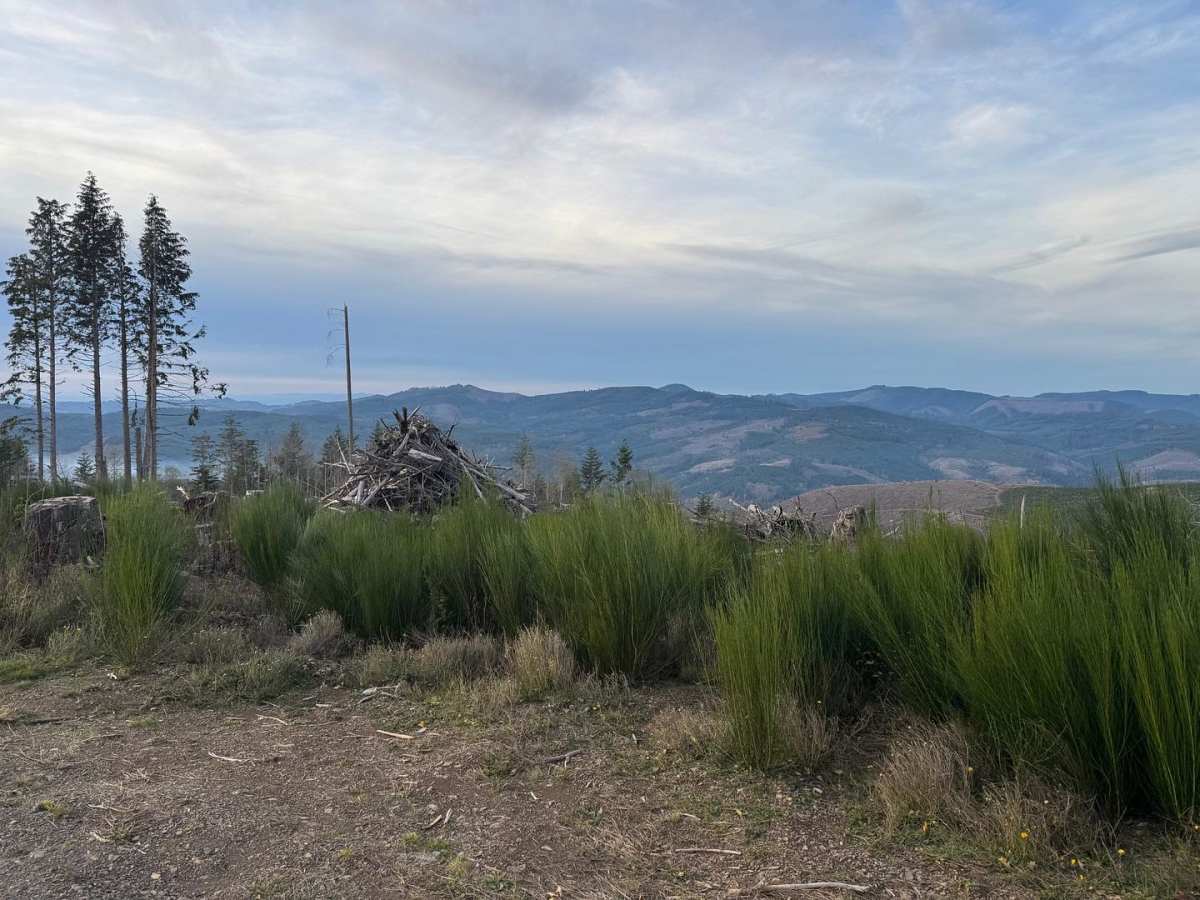 Powder Horn Spur Road photo 4