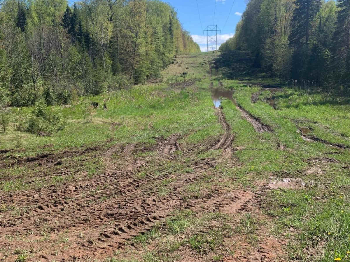 Beaver Dam Run photo 6