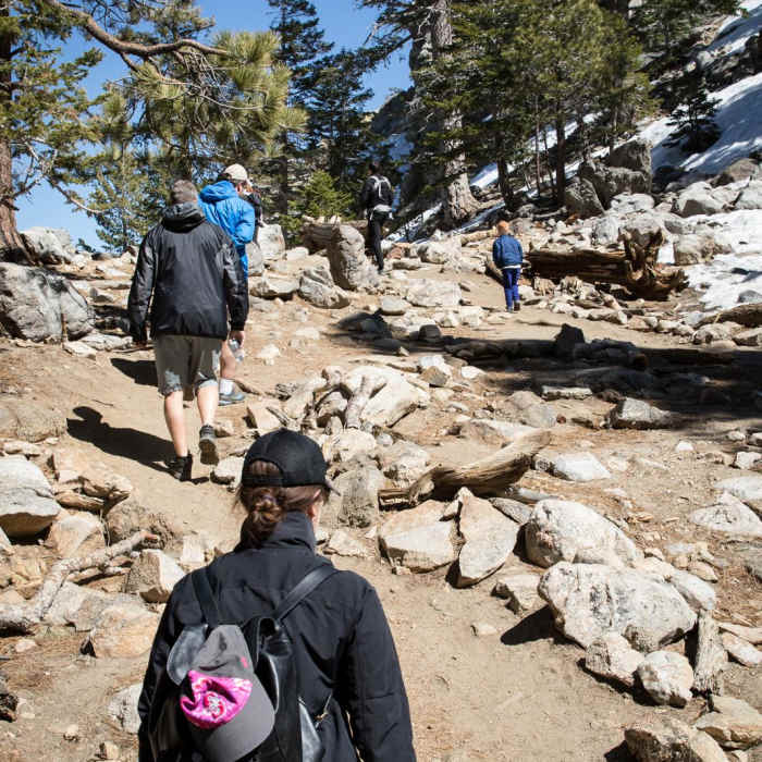 Near Desert View Trail