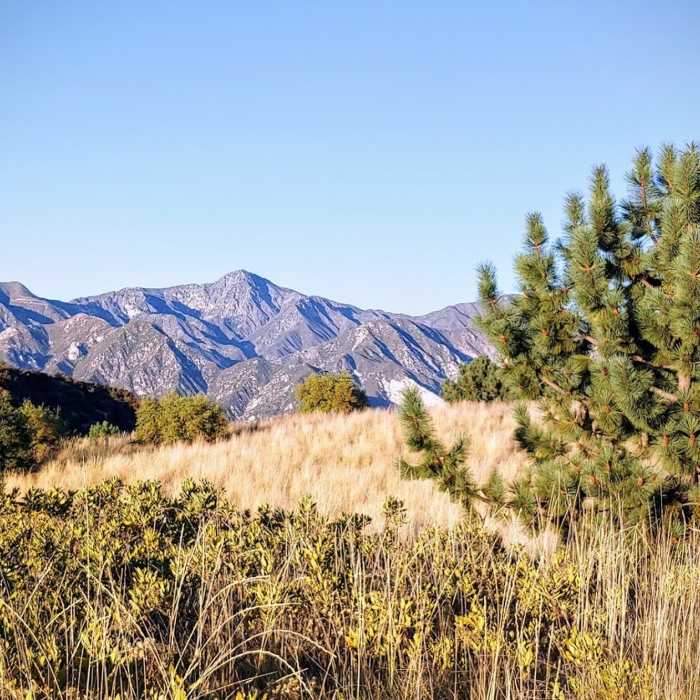 Near La Crescenta: Tee Pee Out and Back