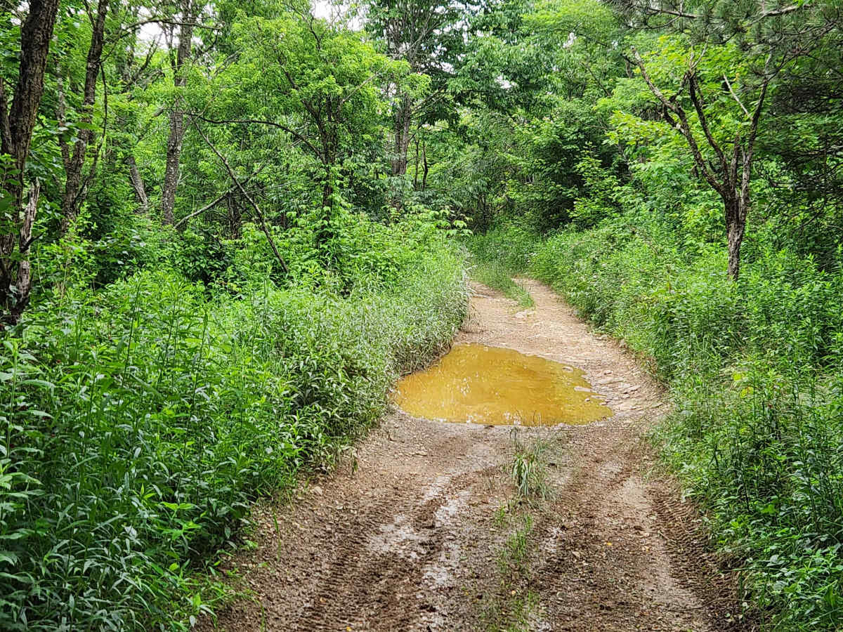 Trail 10B - Rock Run Recreation Area photo 6